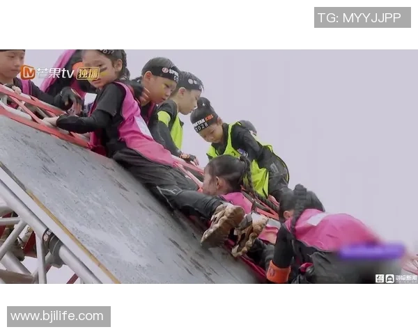 昆虫足球赛:小小生灵展现惊人技巧与团队合作精神