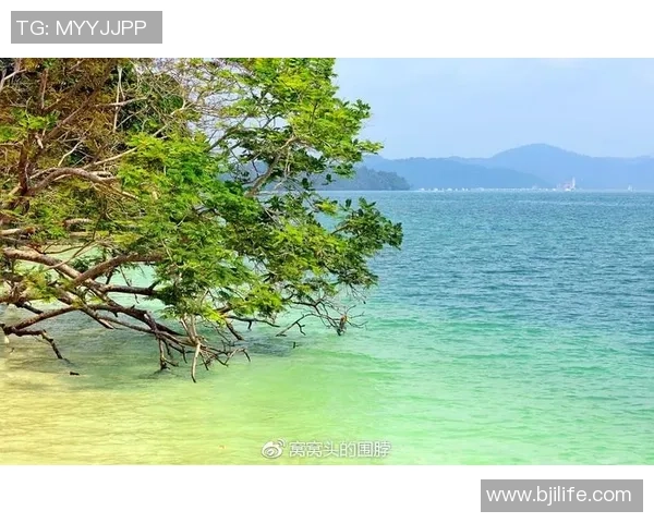 海钓足球的魅力探索：在海洋与绿茵场上的激情碰撞与乐趣分享
