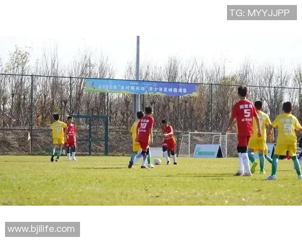 白云江夏足球：激情与梦想交织的绿茵场上演绎青春风采与团队精神